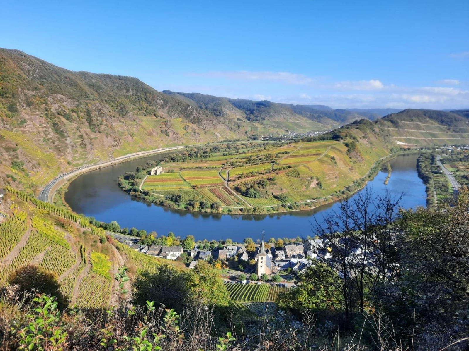 Winzerhaus Schenk Daire Neef Dış mekan fotoğraf