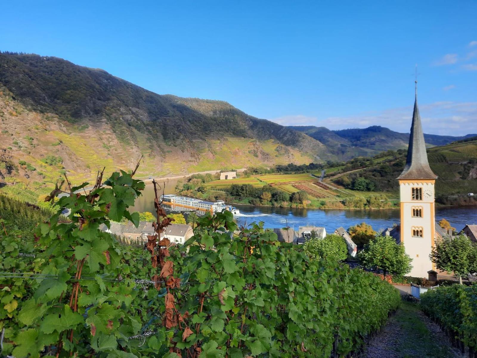 Winzerhaus Schenk Daire Neef Dış mekan fotoğraf