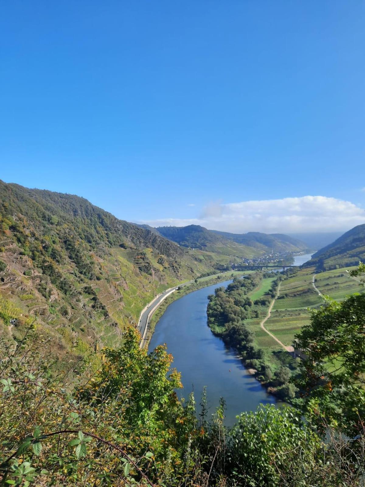 Winzerhaus Schenk Daire Neef Dış mekan fotoğraf