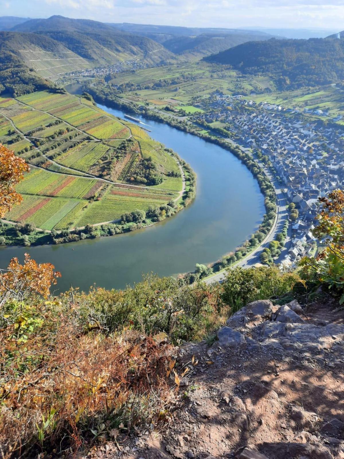 Winzerhaus Schenk Daire Neef Dış mekan fotoğraf