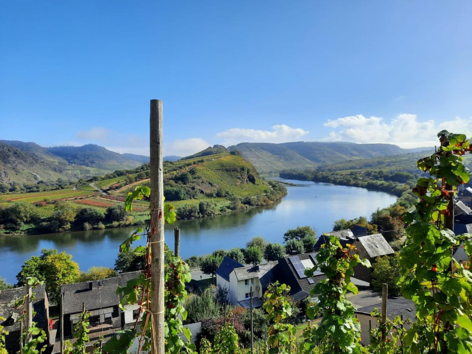 Winzerhaus Schenk Daire Neef Dış mekan fotoğraf